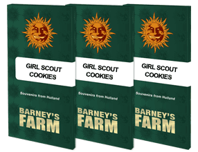 Girl Scout Cookies