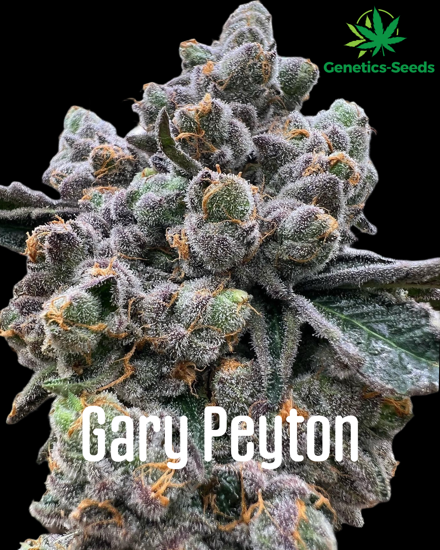 Gary Payton