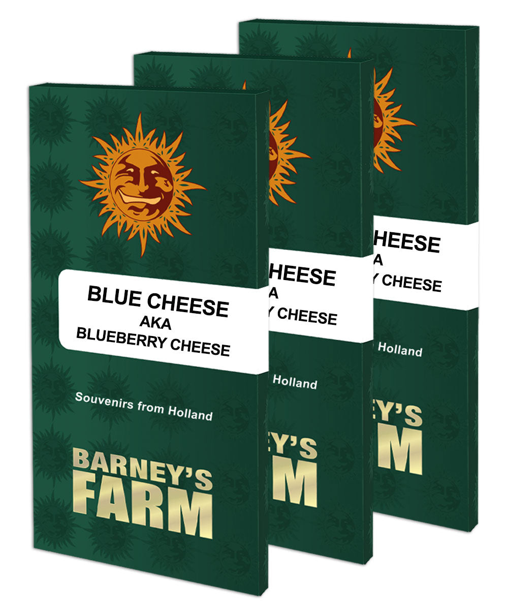 Blueberry Cheese